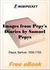 Images from Pepy's Diaries for MobiPocket Reader