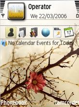 In Bloom Theme