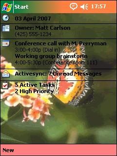 Insects 003 Theme for Pocket PC