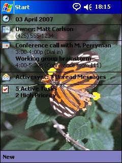 Insects 012 Theme for Pocket PC