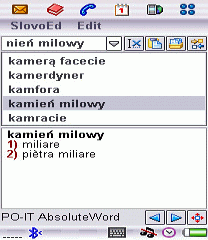 Italian-Polish and Polish-Italian dictionary (UIQ2.x)