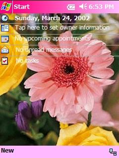 It's Spring! Theme for Pocket PC