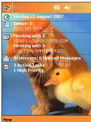 Kitten and Duckling Theme for Pocket PC