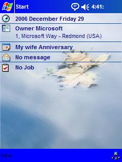 Leaves In Clouds TS Theme for Pocket PC