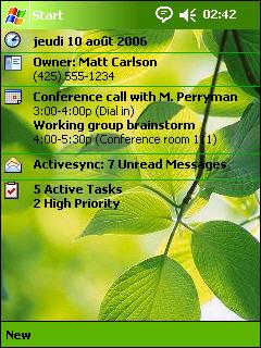 Leaves MMM Theme for Pocket PC