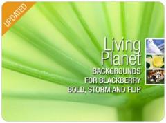 Living Planet: 390 BlackBerry Backgrounds for BB Bold, Storm, Flip