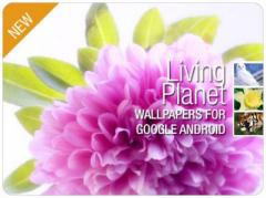 Living Planet: 390 Google Android Wallpapers