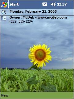 Lone Sunflower Theme for Pocket PC