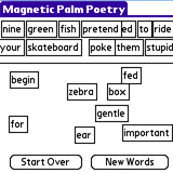 Magnetic Palm Poetry