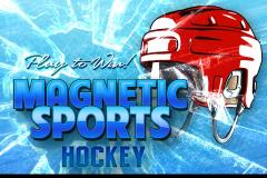 Magnetic Sports Hockey Lite