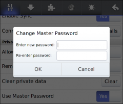 Master Password - Firefox Addon