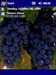 Merlot Vineyard MP Theme for Pocket PC