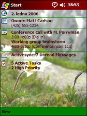 Mountain Flower Theme for Pocket PC