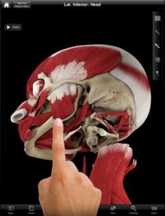 Muscle System Pro II (NOVA Series) - iPad edition