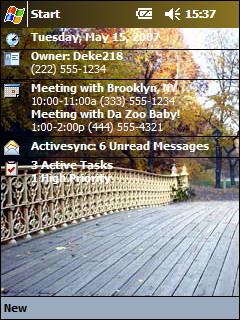 NYC Central Park Theme for Pocket PC