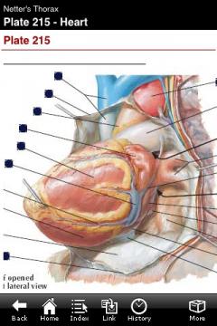 Netter's Thorax - Atlas of Human Anatomy (iPhone)