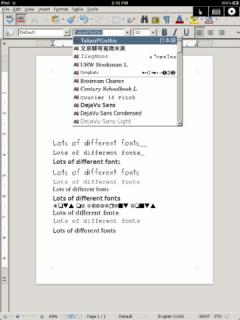 Open Word Processor for iPad