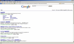 OpenRCE Google Search - Firefox Addon
