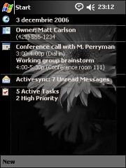 Orange Flower (B&W version) Theme for Pocket PC