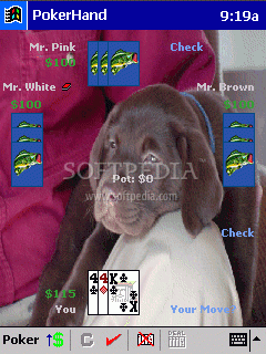 PokerHand for Palm OS