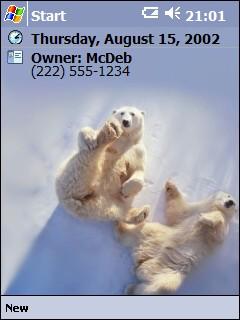 Polar Bear Fun 2 Theme for Pocket PC