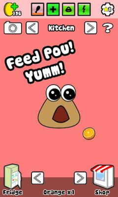 Pou