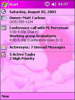 Purple Kitty Theme for Pocket PC