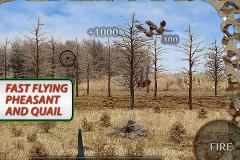 Real Bird Hunting Challenge