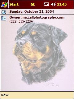 Rottweiler 03 Theme for Pocket PC