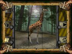 Safari Slider Free for iPad