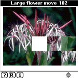 Sliding Flowers for Palm OS