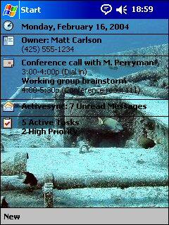 Spiegle Grove Theme for Pocket PC