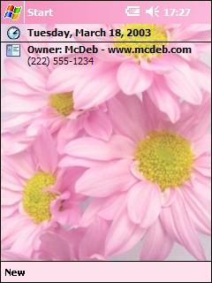 Spring Bouquet Theme for Pocket PC
