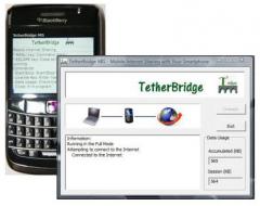 TetherBridge MIS-Mobile