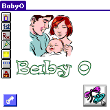 The Baby Organizer (SA Edition)