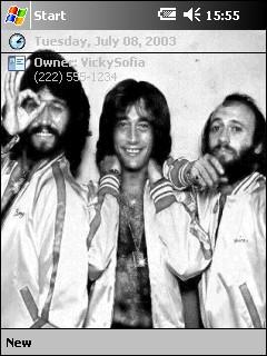 The Bee Gees 70s Theme for Pocket PC