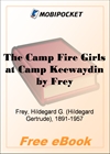 The Camp Fire Girls at Camp Keewaydin Or, Paddles Down for MobiPocket Reader