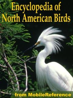 The Illustrated Encyclopedia Of North American Birds (Palm OS)
