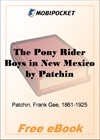 The Pony Rider Boys in New Mexico for MobiPocket Reader