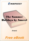 The Summer Holidays for MobiPocket Reader