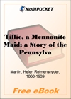 Tillie, a Mennonite Maid; a Story of the Pennsylvania Dutch for MobiPocket Reader