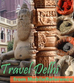 Travel Delhi, India (Palm OS)
