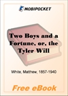 Two Boys and a Fortune for MobiPocket Reader