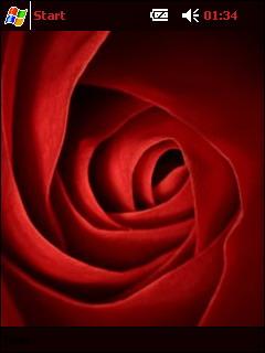 Very red rose gh Theme for Pocket PC
