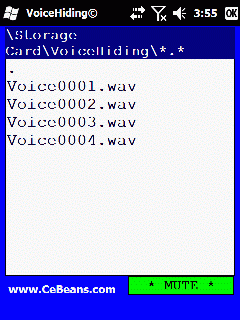 VoiceHiding