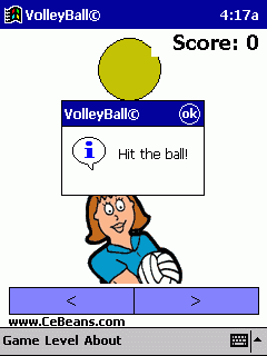 VolleyBall