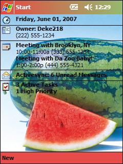 WaterMelon dkb217 Theme for Pocket PC
