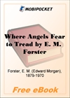 Where Angels Fear to Tread for MobiPocket Reader