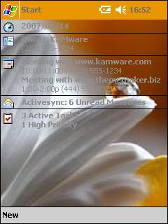 White Flower Theme for Pocket PC