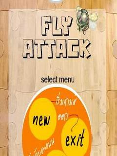 Fly Attack